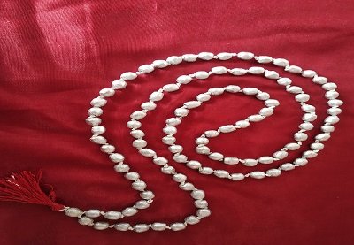 Parad Mala Special
